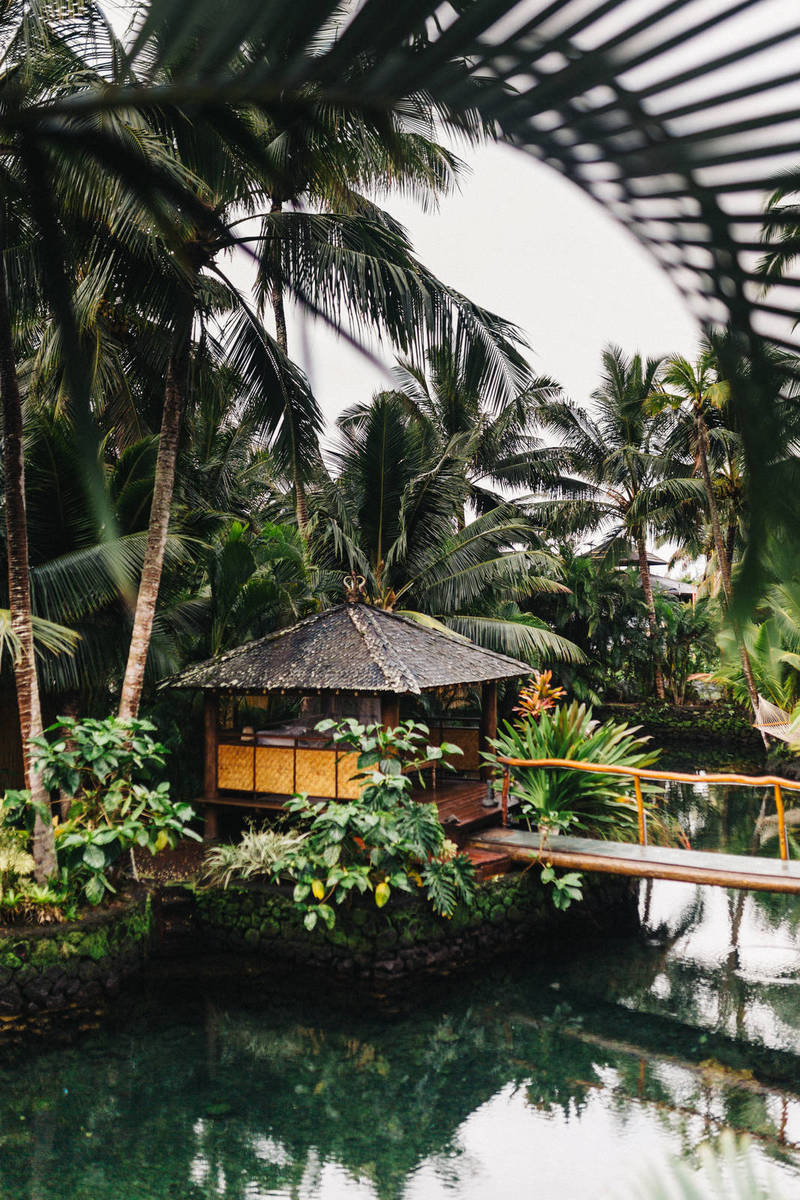 Quisque turpis arcu congue in